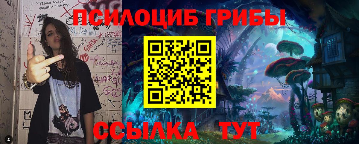 Псилоцибиновые грибы ЛСД  Галлюциногенные грибы мицелий  Вход с VPN  где можно купить   Егорьевск 