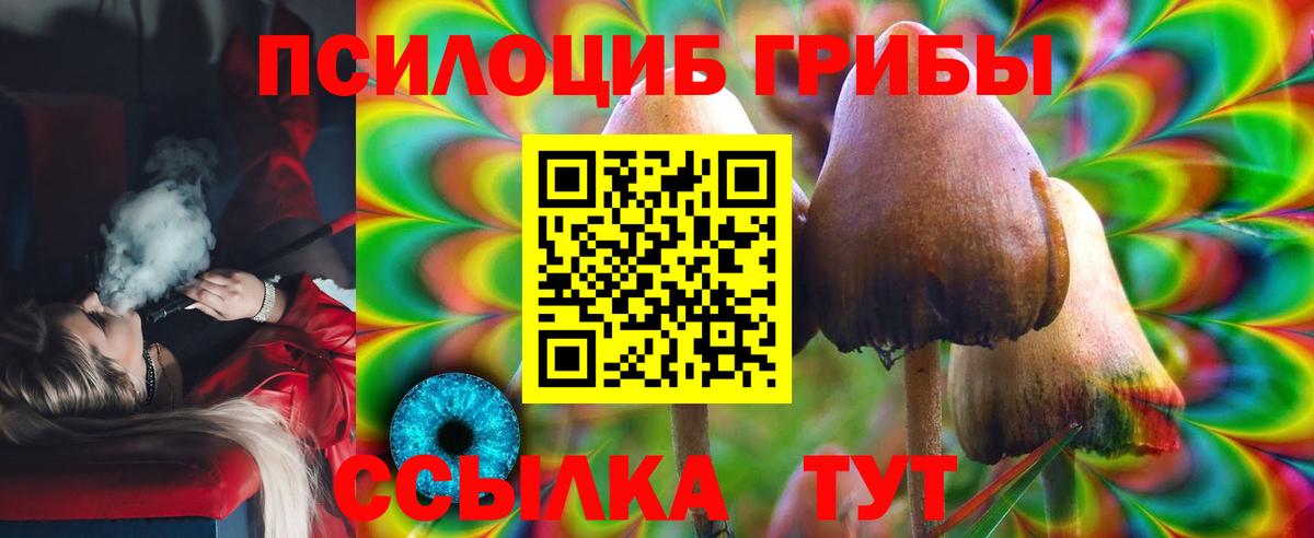 Псилоцибиновые грибы мицелий Егорьевск